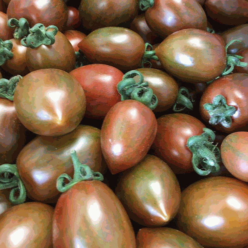 Odoo - Sample 2 for three columns