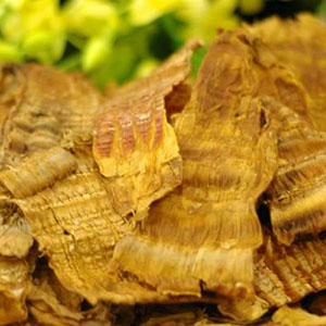 Măng tre khô dài bịch 500gr