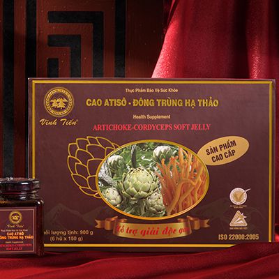 Cao Atiso - Đông Trùng Hạ Thảo hộp 900g 