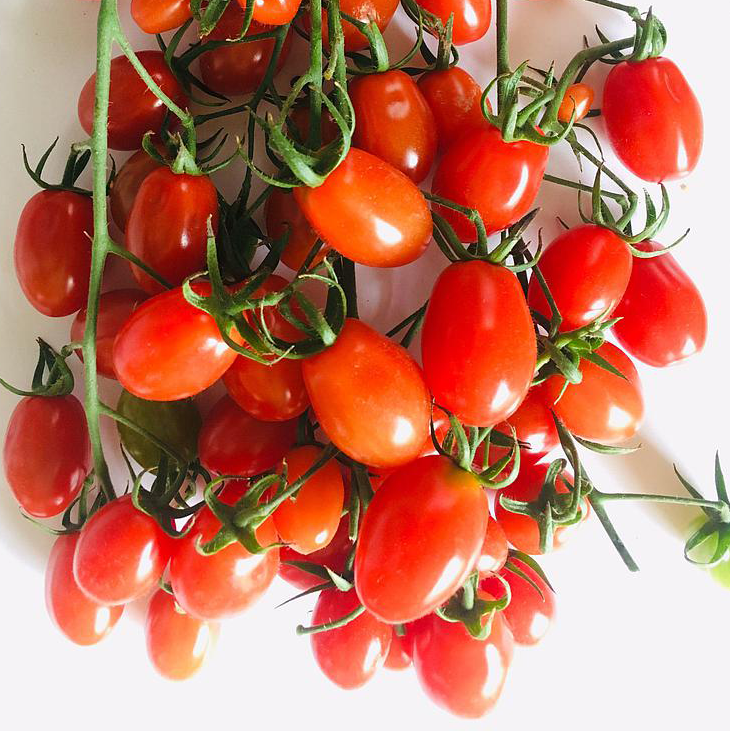 Cà Chua Cherry Trái Cây Chùm